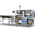 ILAPAK Delta Horizontal Form Fill Seal (HFFS) Flow Pack Series