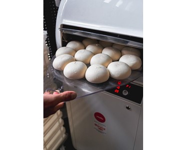 Vitella - Bun Divider Rounders