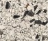Meyer - PET Flake & Bottle Cap Colour Sorter for Plastic Recycling – CG