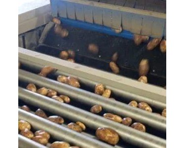 Lift Roller Sizer | Wyma Solutions