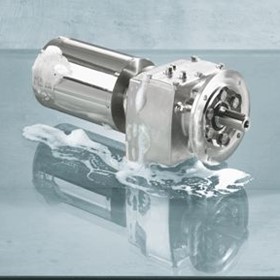 Gear Units and Gearmotors | Stainless Steel Gear Unit Variants
