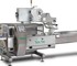 Horizontal Flow Wrapper Machines | FP 020s