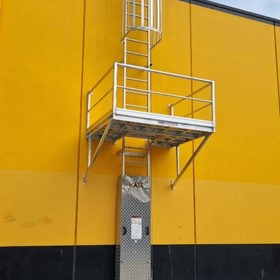 Ladder Access Cage & Handrail 