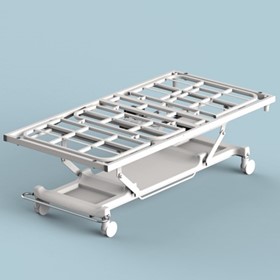 Electric Hospital Bed | Talbot
