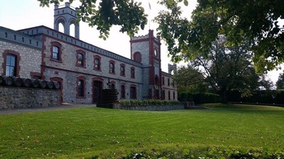 CASE STUDY | Nothing like a splash of smooth red