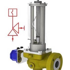 BS&B Buckling Pin Relief Valve