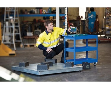 Pallet Scales - A300 with IT1000 Indicator
