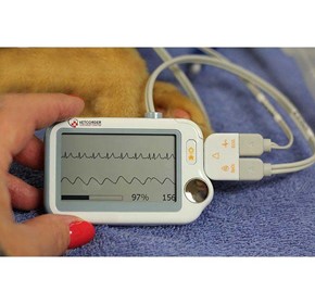 Veterinary Vital Signs Monitor | Sentier Vetcorder™ Classic
