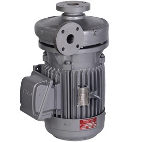 Apollo - Westate Pumps | MT303