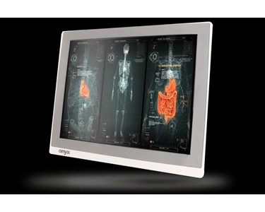 Onyx - 19" Fanless 6th Generation Core i7 Powerful Medical All in One PC