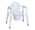 SNT Health Supplies - Over Toilet Commode Chair | RCM301 
