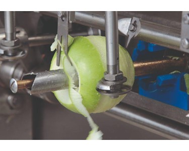 PND Fruit Processing Machinery - SUMMIT MACHINERY - PND PL2|4|6|8 Peeling, Coring & Cutting Machine
