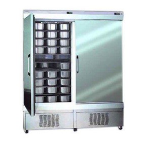 DoubleDoor Upright Commercial Freezer | 10010 NFN LP