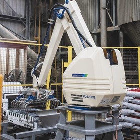 Robotic Palletizing Skid System