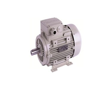 Chain and Drives - AC Electric Motors 