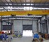 Dual hoist Single girder overhead crane