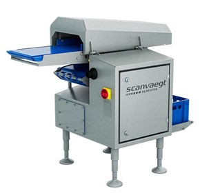 ScanCut 400 Salmon Portion Cutter