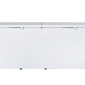 Commercial Storage Lifting Split Lids Chest Freezer - CF670S