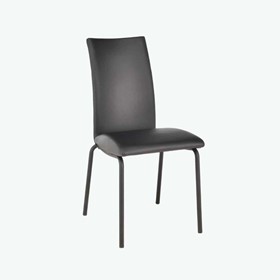 Corio Indoor Chair (Black)