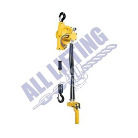 All Lifting Wire Rope Air Hoists EHW