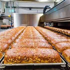 Bread Production Line | Gluten Free Product Lines