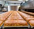 Bread Production Line | Gluten Free Product Lines