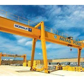 Exploring Different Types of Cranes and Their Uses