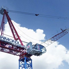 Luffing Crane | LR213