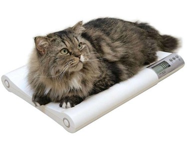 VetTech Australia - Animal Scales | Cat Weigh Scales 0-20kg