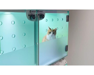 CASCO - WellKennels | Cat Stacked Enclosures