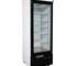 NovaChill - SM400GZ - Single Glass Door Bottom Mount Display Freezer