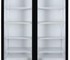 Bromic - LED Upright Display Eco Chiller Black | GM1000LBECO Flat Glass 2 Door