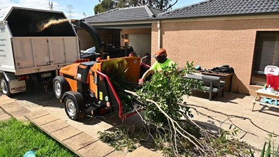 The Ultimate Business Growth Guide for Arborists & Tree Care Professionals