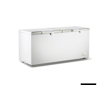 Thermaster - Thermaster 600L Chest Freezer with Stainless Steel Lid - BD600F