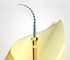 E-Flex Endodontic Rotary and Reciprocating Files