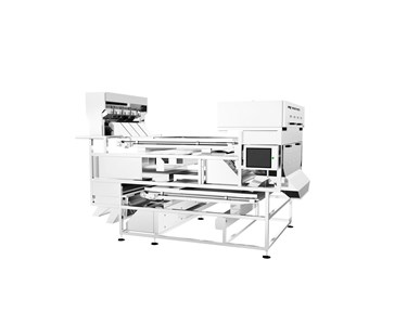 Meyer - Grain, Pulse, Nut, Fruit & Vegetable Belt Colour Sorter – KS Series