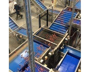 Screen Sizer | Wyma Solutions