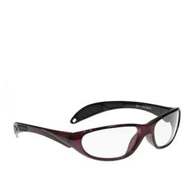 Model 208 Lead Glasses