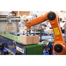 Robotic Palletiser | Standard