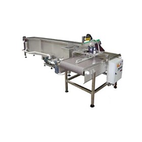 Food Sorting Machine | Produce Processing Flow Tank And Conveyor
