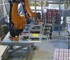 MESPIC Robotic Palletizing Systems