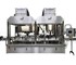 Icon Filling and Capping Machine | 6000 Series