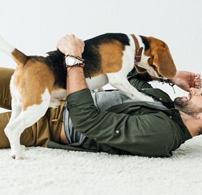 Beagles successfully identify lung cancer by scent