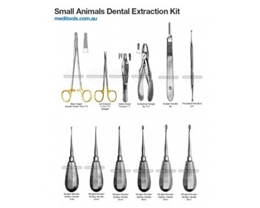 Veterinary Dental Extraction | Standard