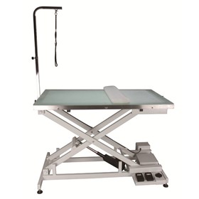 Veterinary Electric Lift Table with Light