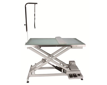 Aeolus - Veterinary Electric Lift Table with Light