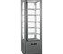 Tecfrigo - Display cabinet - Icecream, Gelato, Pastries - SNELLE