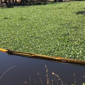 Silt Curtains & Booms | Floating Debris & Weed Booms for Waterway Control