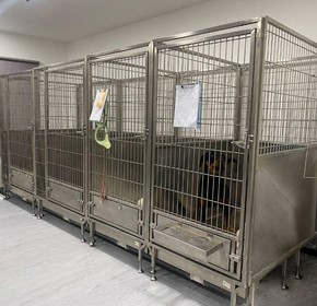 Draining Walk-in Kennels