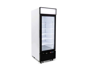 AG Equipment - Upright Single Glass Door Display Freezer | 540 Litre 